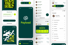 Payload Fintech Mobile App Design 